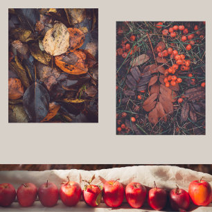 Red berries and colourful autumn leaves 