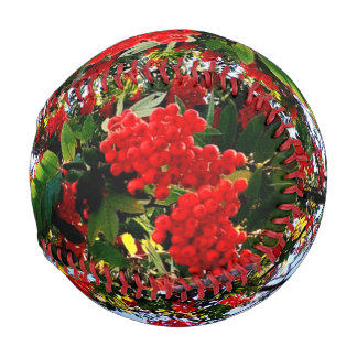 Red berries baseball