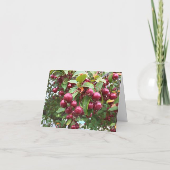 red berries card (Front)