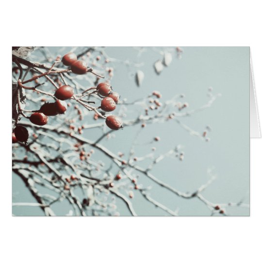 Red Berries Christmas Card