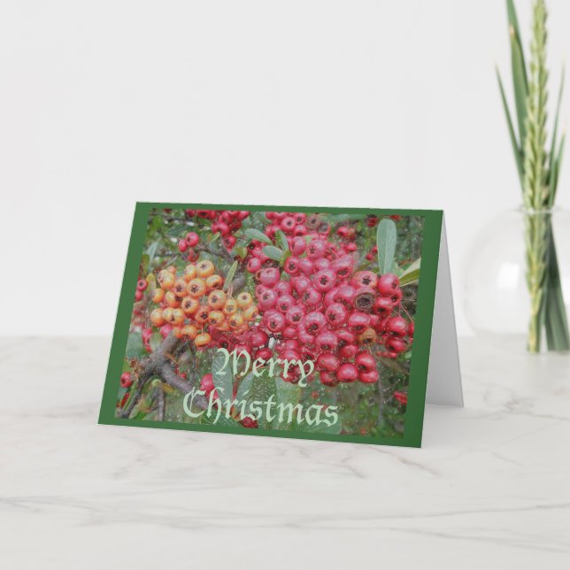 Red Berries Christmas Card (Front)