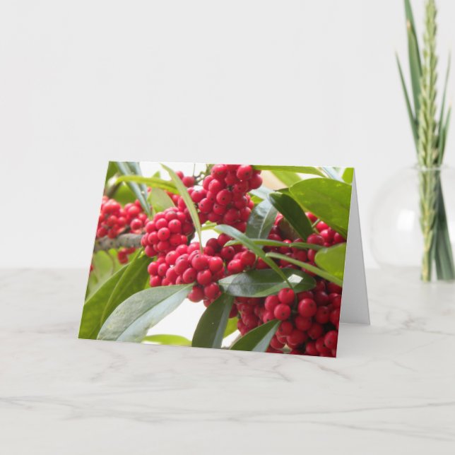 Red berries Christmas card (Front)