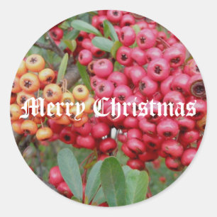 Red Berries Christmas Stickers