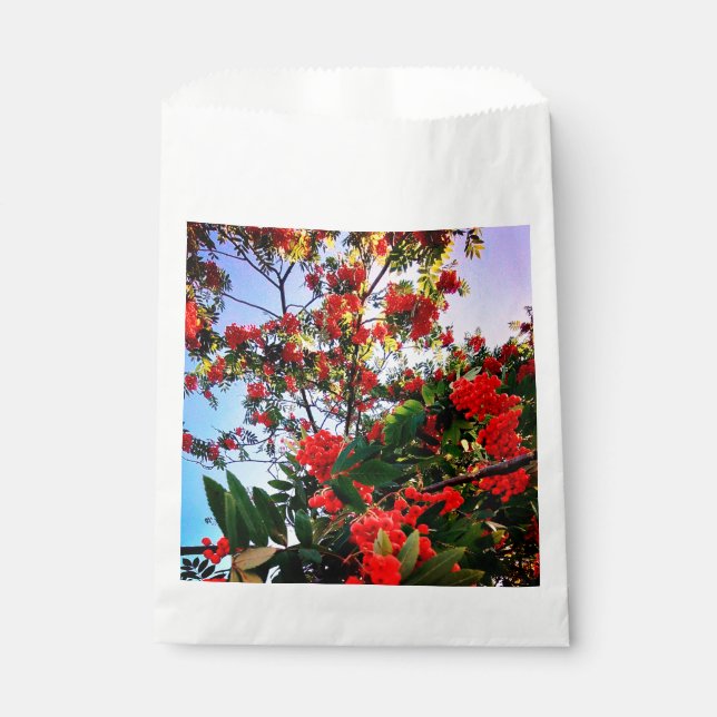 Red berries favour bags (Front)