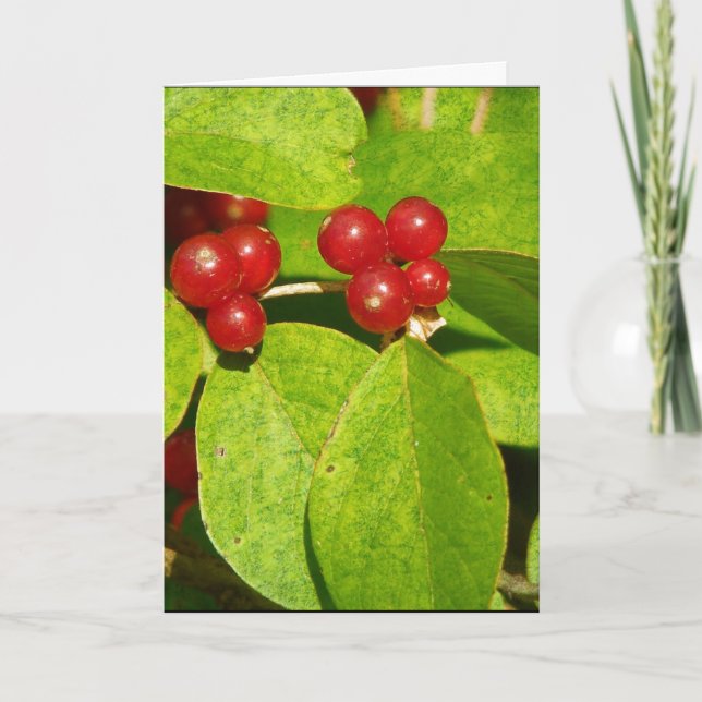 Red Berries Holiday Card (Front)