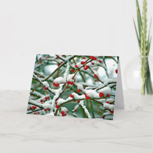 Red Berries in Snow Card