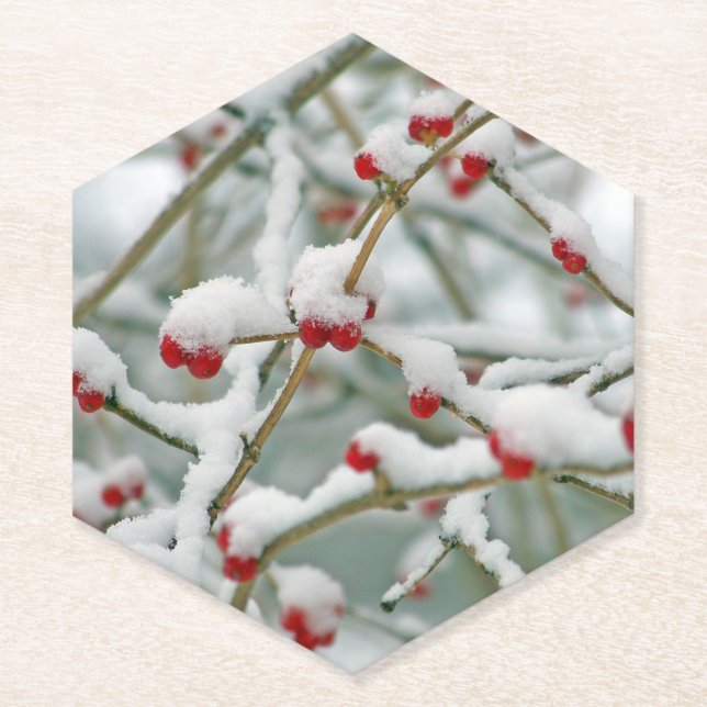 Red Berries in the Snow Paper Coaster (Front)
