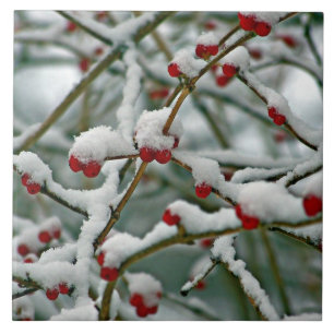 Red Berries in Winter Snow iPad Pro Cover Tile