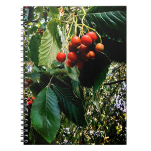 Red berries notebook
