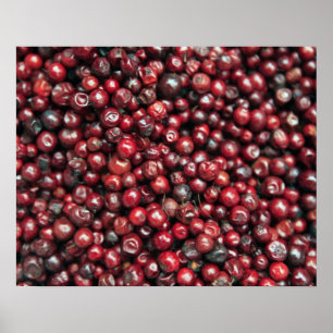 Red berries of the Himalayas Poster
