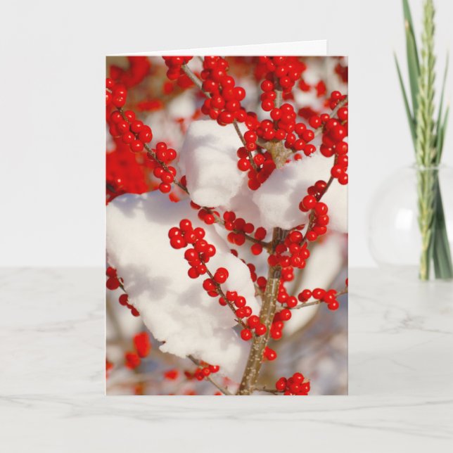 Red Berries Snow Photo Christmas Xmas Holiday (Front)