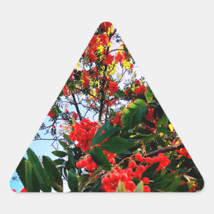 Red berries triangle sticker