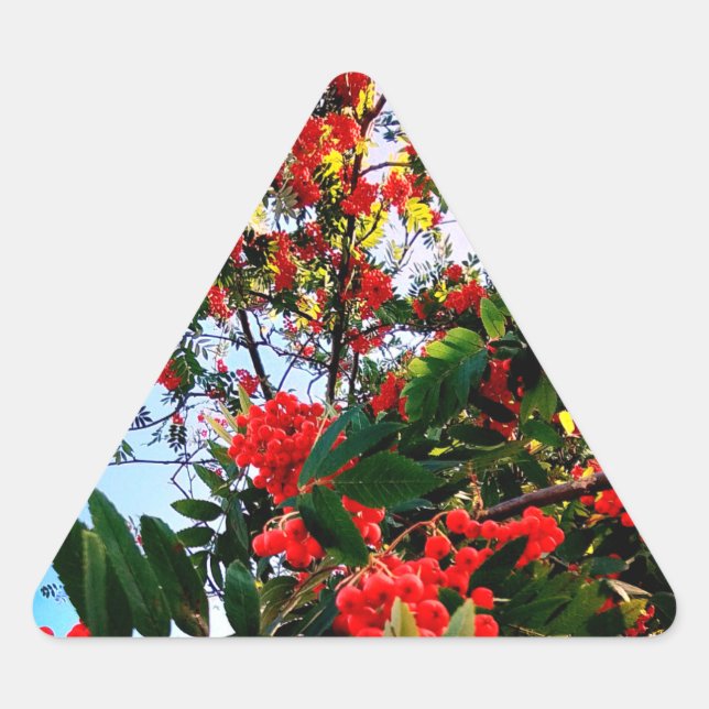 Red berries triangle sticker (Front)