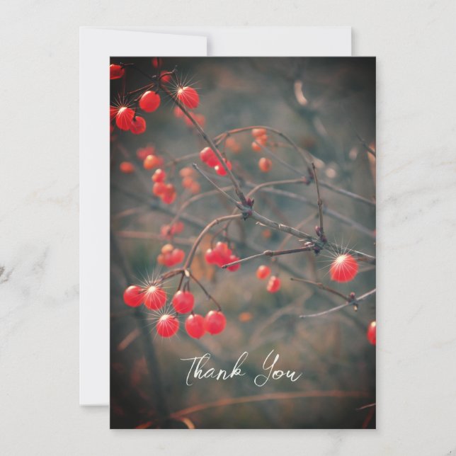 Red Berries Winter Nature Photography Thank You Card (Front)