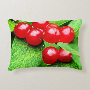 Red Berries With Raindrops Close Up  Decorative Cushion