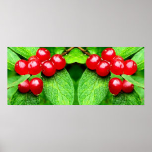 Red Berries With Raindrops Mirror Abstract Poster
