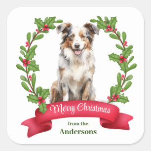 Red Berry Holly Banner Australian Shepherd Holiday Square Sticker