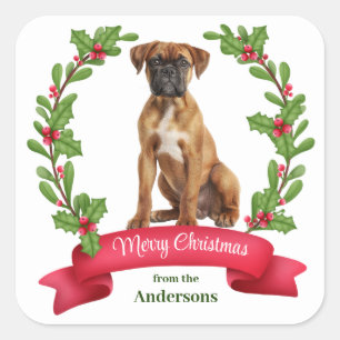 Red Berry Holly Banner Boxer Dog Christmas Square Sticker