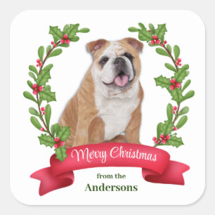 Red Berry Holly Banner Bulldog Christmas Square Sticker