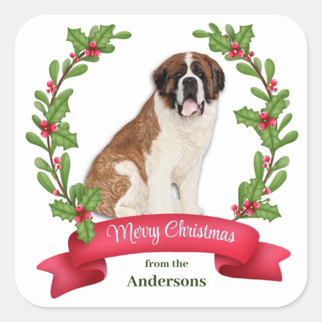 Red Berry Holly Banner St Bernard Dog Christmas Square Sticker (Front)