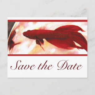 Red Betta Fish Save The Date Announcement Postcard