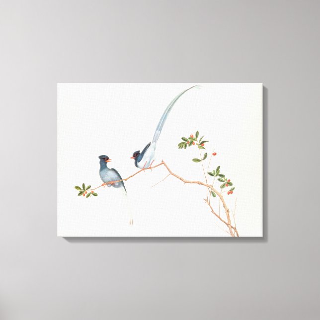 Red-billed blue magpies,a branch red berries canvas print (Front)