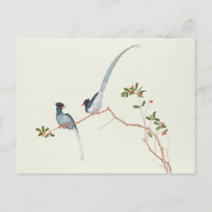 Red-billed blue magpies,a branch red berries postcard