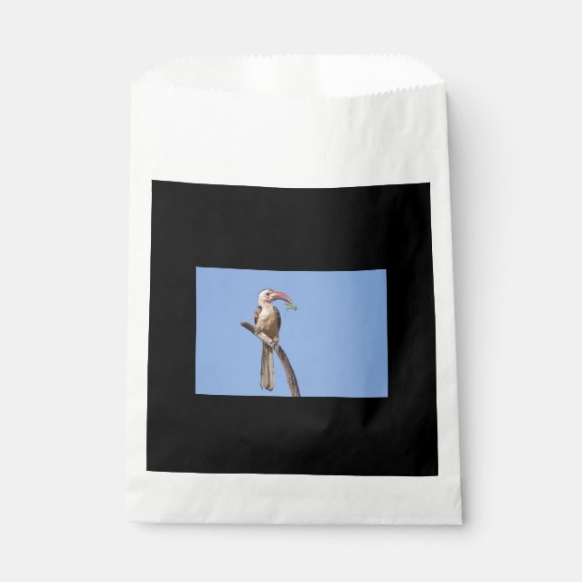 Red-billed Hornbill Favour Bags (Front)