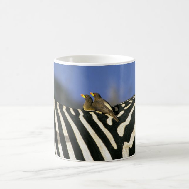 Red-billed oxpecker bird on a Zebra back- Zimbabwe Coffee Mug (Center)