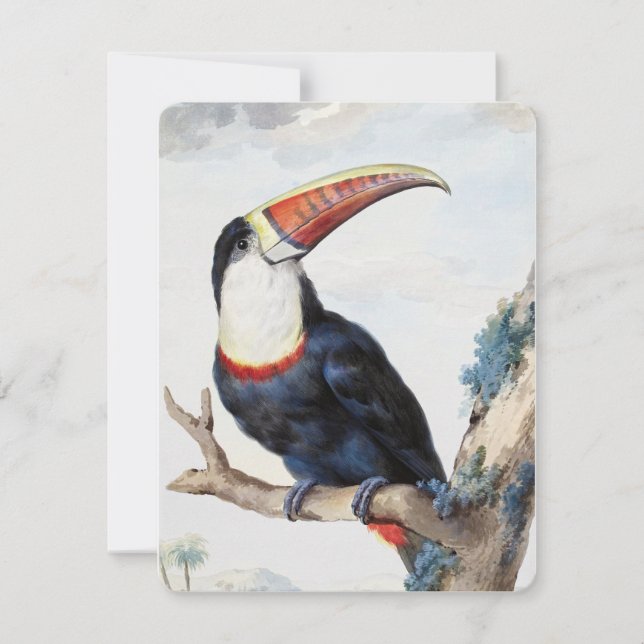 Red-billed Toucan (1748) by Aert Schouman Invitation (Front)