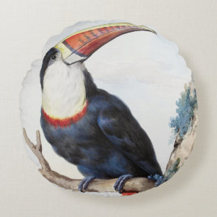 Red-billed Toucan (1748) by Aert Schouman Round Cushion
