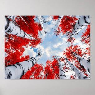 Red Birch Tree Canopy Art Vintage Painting Poster