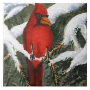 Red Bird Cardinal in the snow covered pines Tile