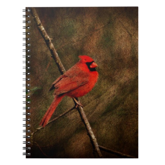 Red Bird Notebook (Front)