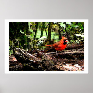 RED BIRD POSTER
