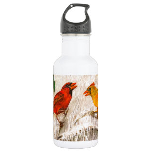 Red birds Cardinals - Singing of love 532 Ml Water Bottle