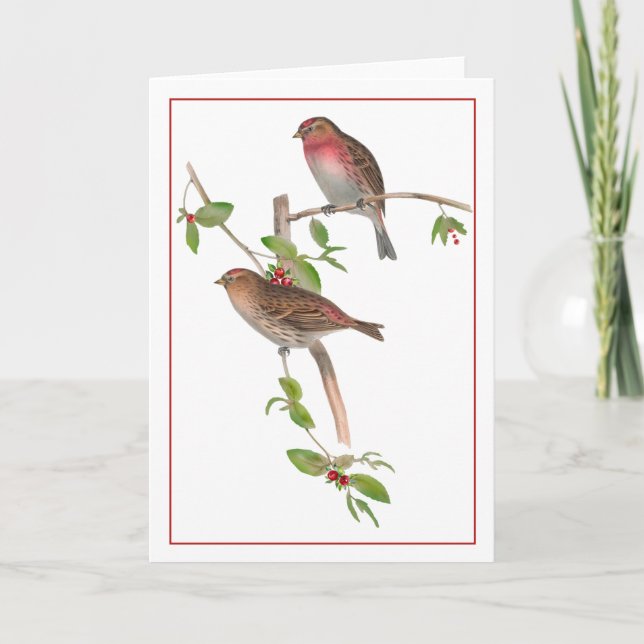Red Birds on a Berry Branch Card (Front)