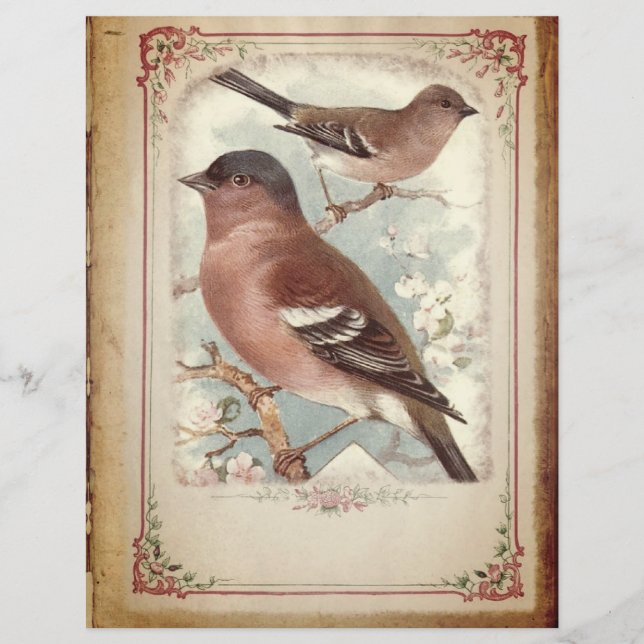 Red Birds on a Branch Scrapbook Paper (Front)