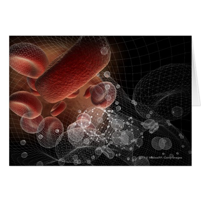 Red blood cells in wireframe (Front Horizontal)