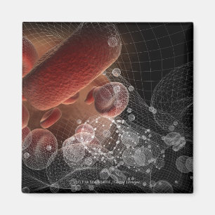 Red blood cells in wireframe magnet