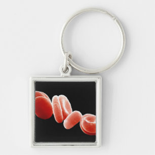 Red Blood Cells Key Ring