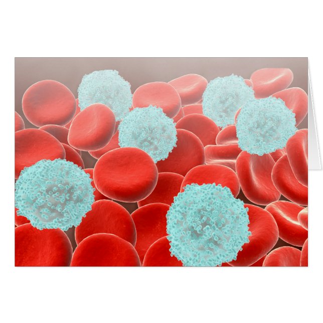 Red Blood Cells With White Blood Cells (Front Horizontal)