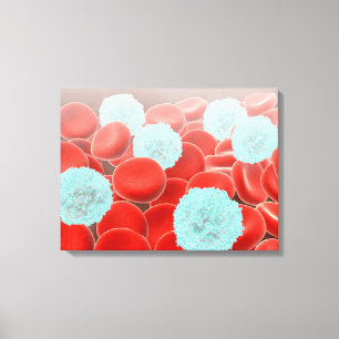 Red Blood Cells With White Blood Cells Canvas Print