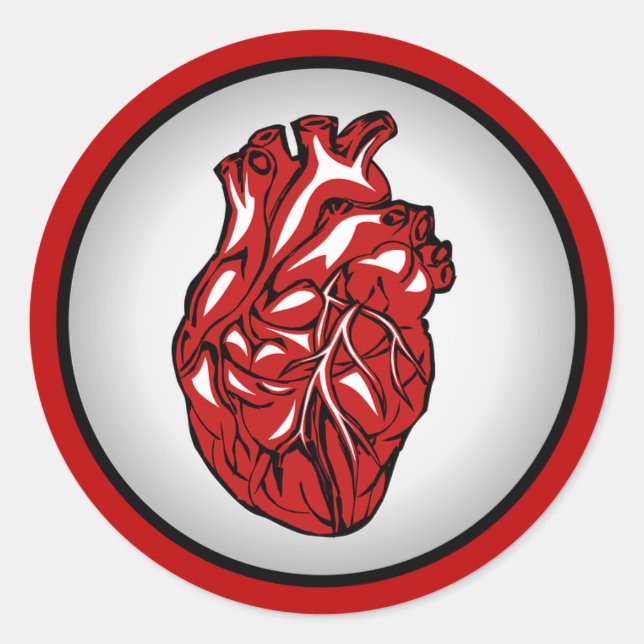 Red Blood Human Heart Anatomy Illustration Sticker (Front)