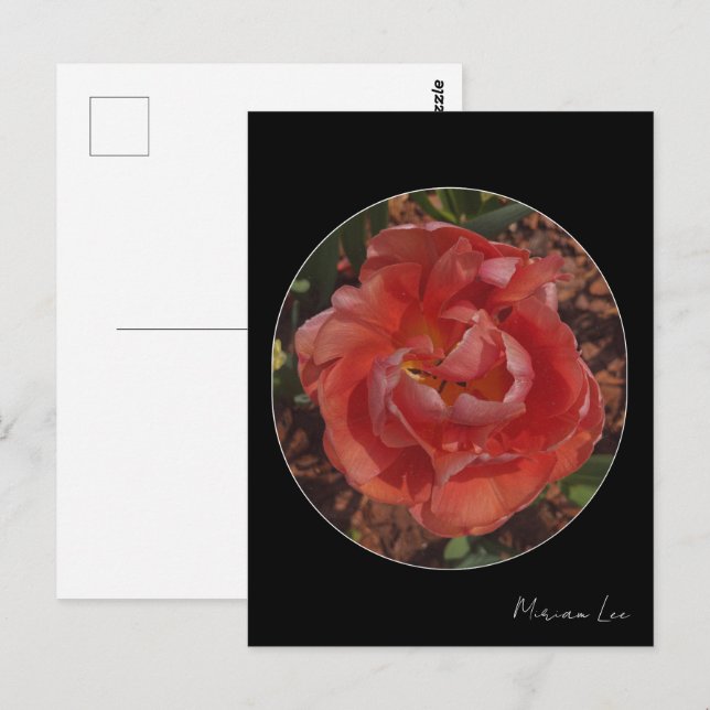 red blossom  postcard (Front/Back)