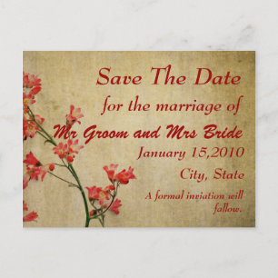 Red Blossom Save the Day PostCard
