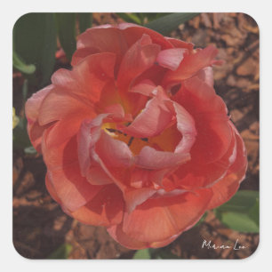 red blossom square sticker