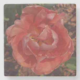 red blossom stone coaster