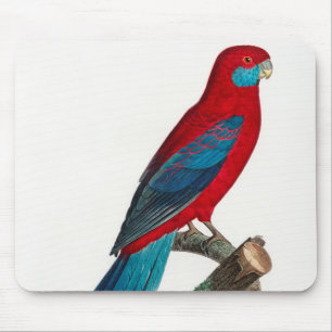 Red Blue Crimson Rosella Parrots Mouse Mat