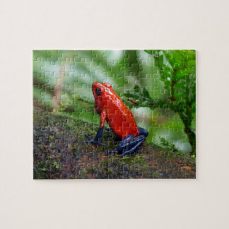 Red & Blue Poison Dart Frog Jigsaw Puzzle